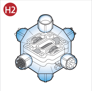 H2 - Worm Gear Capsule